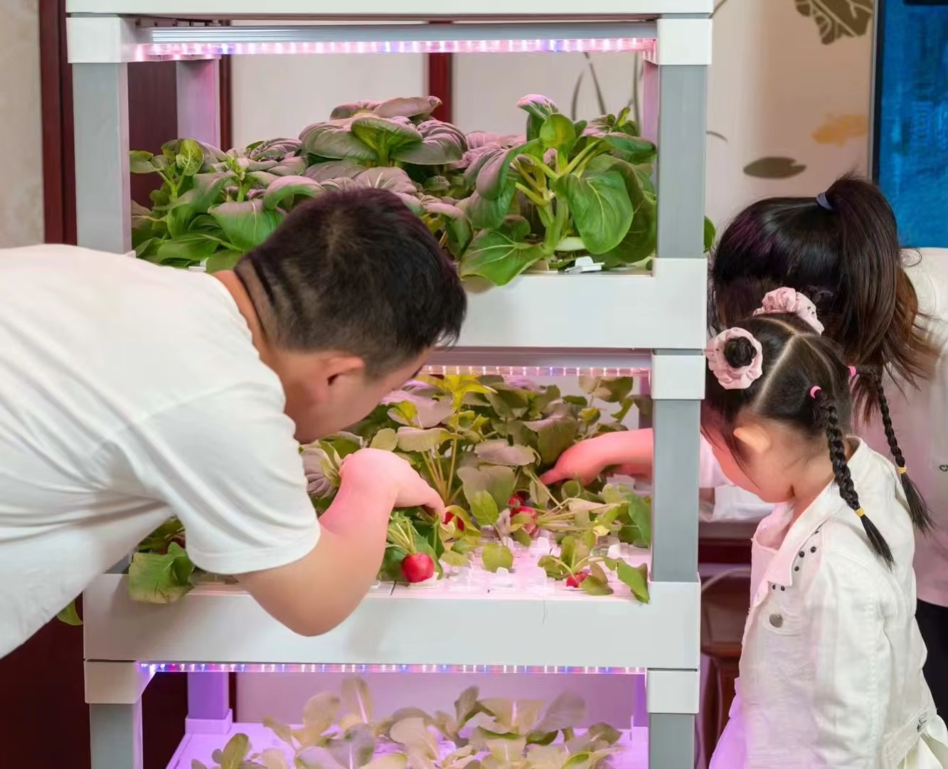 nt China Hydrokultur Grow Box  - đánh giá và giá Diy Home Automation System