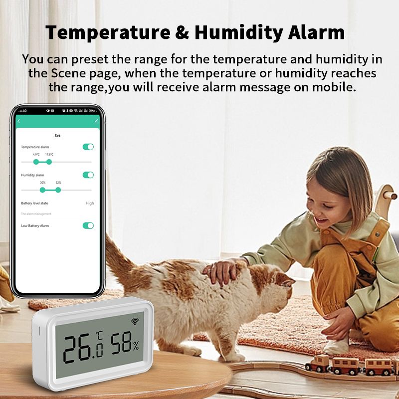 Tuya Zigbee WiFi Thermometer H - đánh giá và giá Temperature Humidity Sensor